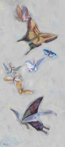 Butterfly Migration- West Wind