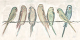 Parakeet Friends
